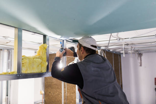 Best Attic Insulation Installation  in Mianna, AR